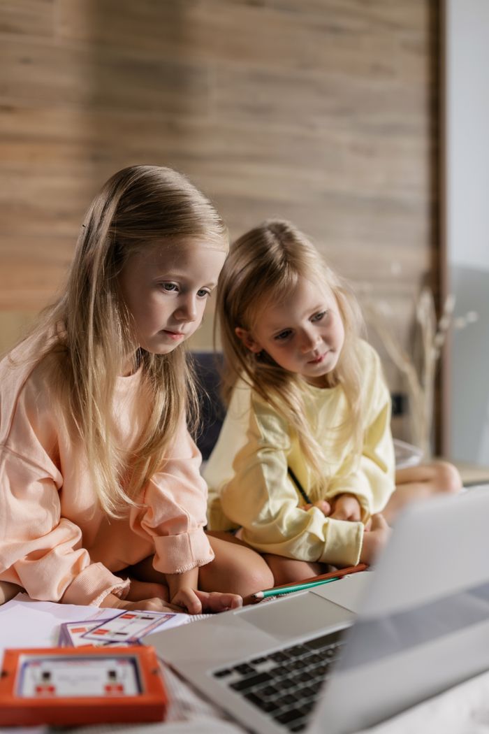 services-03 Two young twin sisters learning online together indoors, seated side by side using a laptop for education.